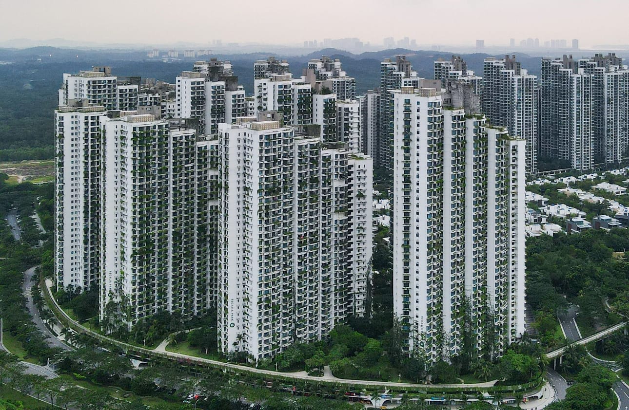 Forest City on kiinalaisrahoitteinen kehityshanke, jota sekä Malesian valtio että Johorin osavaltio tukevat ja jonka omistajiin kuuluu muun muassa Malesian kuningas.