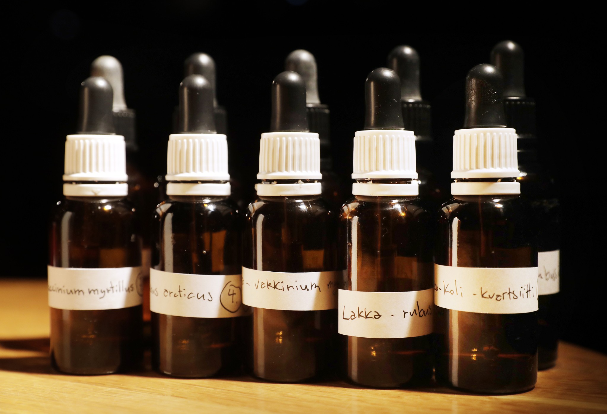 Kolin kansallismaisemasta löytyi paljon erilaisia ainesosia uutettaviksi ja pullotettaviksi.