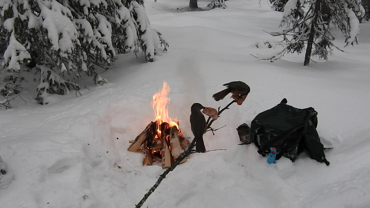 Savotassa on kaikille omat eväänsä.