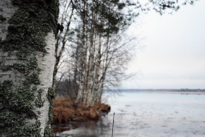 Arkistokuva: Sari Heinilä