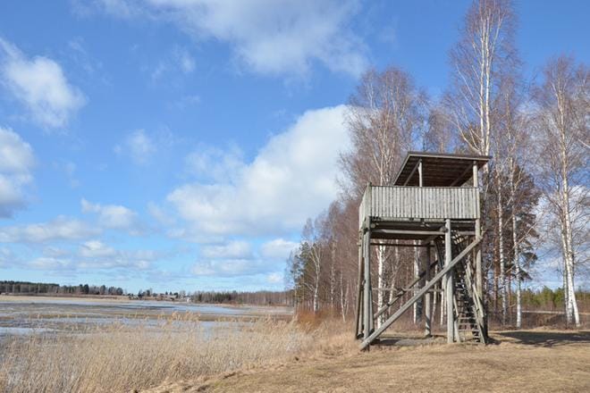 Yksi bongattavista kohteista on Katajalahden lintutorni. KUVA: SARI HEINILÄ