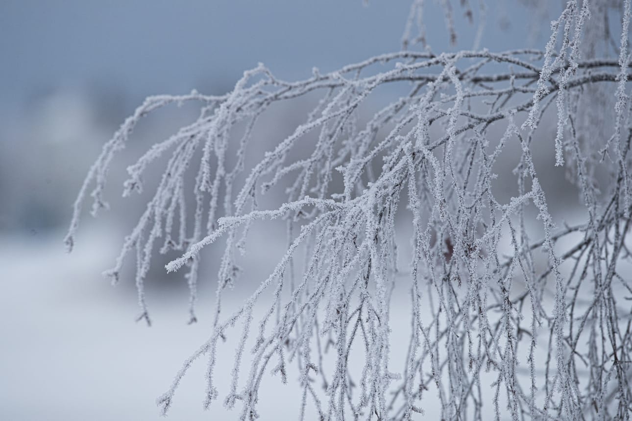 Pakkassää jatkuu Pohjois-Pohjanmaalla.