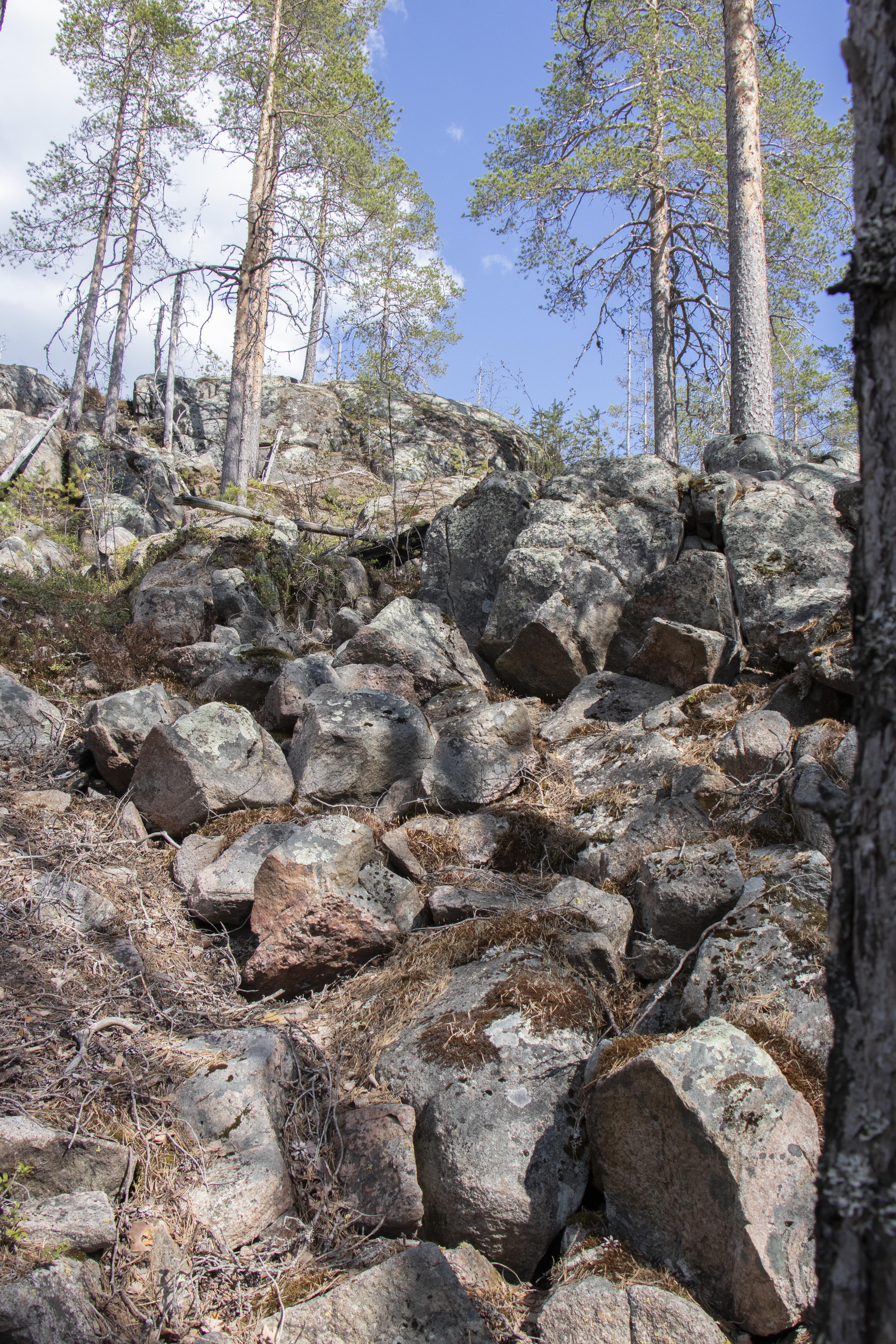 Korkiakallio on maisemallisen helmi, joka on pysynyt piilossa myös monelta nykypiipposelta. Vanhemmat polvet muistavat paikan paremmin. 