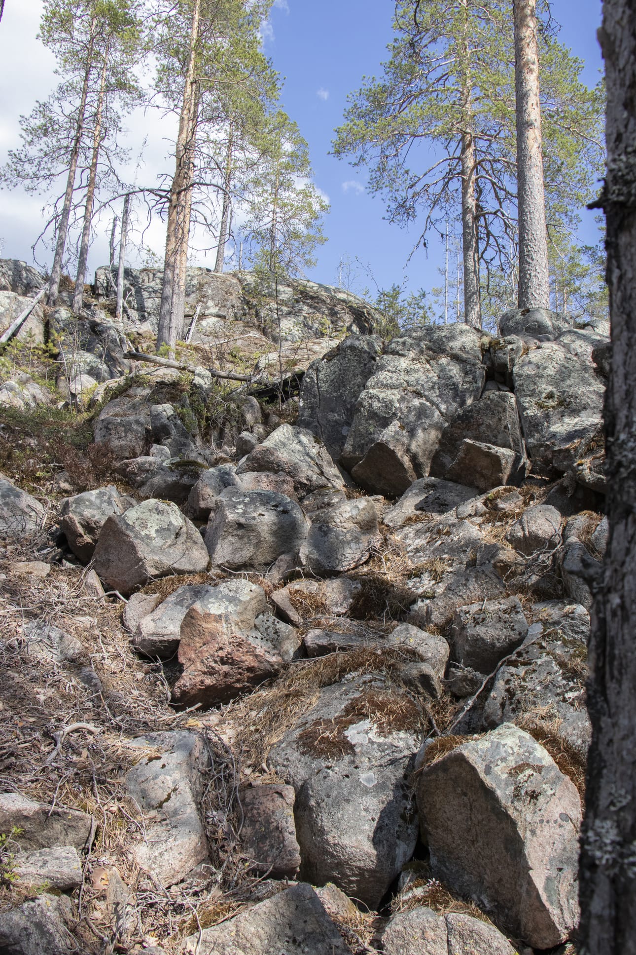 Korkiakallio on maisemallisen helmi, joka on pysynyt piilossa myös monelta nykypiipposelta. Vanhemmat polvet muistavat paikan paremmin.