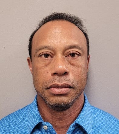 Tiger Woodsin pidätyskuva.