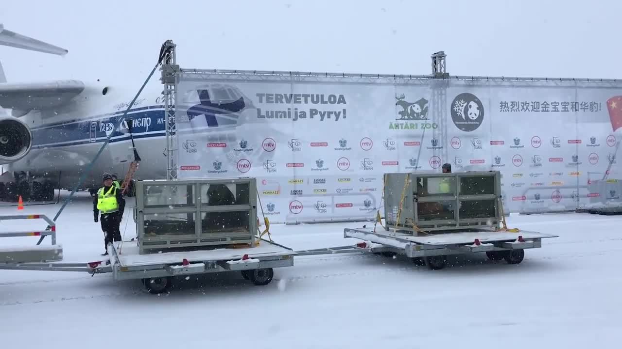 Pandat saapuivat Suomeen