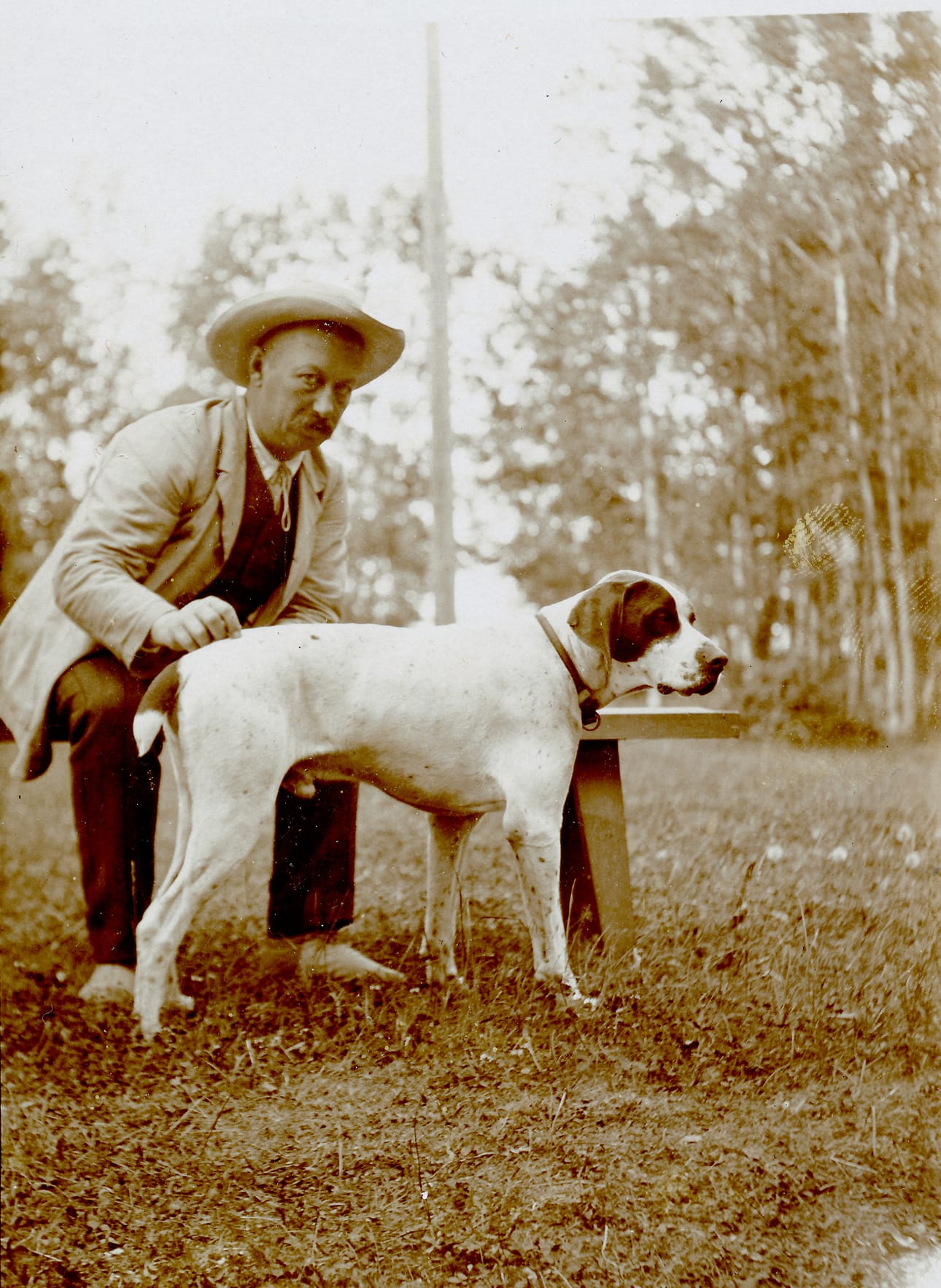 Kim-koira (s. 1911) oli eräs Swanljungin perheen koirista. Kun hän istui isäntänsä paikalla juorupeilin ääressä, ohi kulkijat vilkuttivat hänelle.