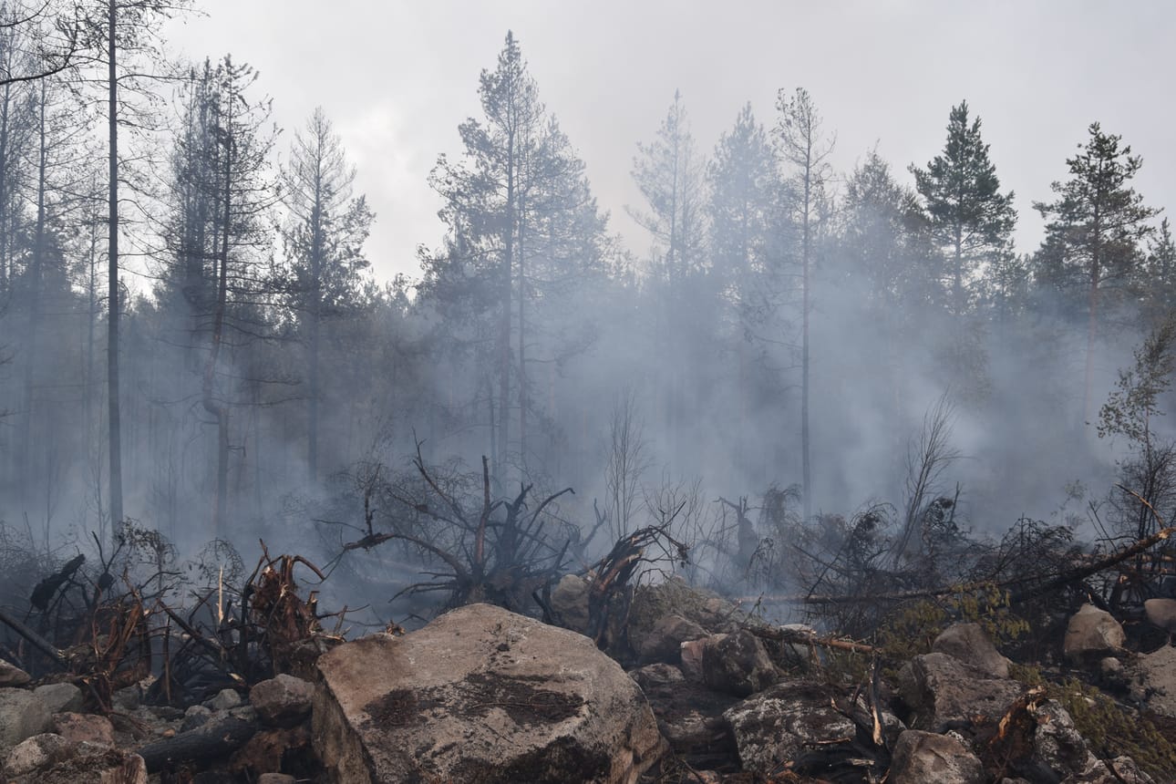 Kalajoen metsäpalo on riehunut Raution liepeillä jo kohta viikon.