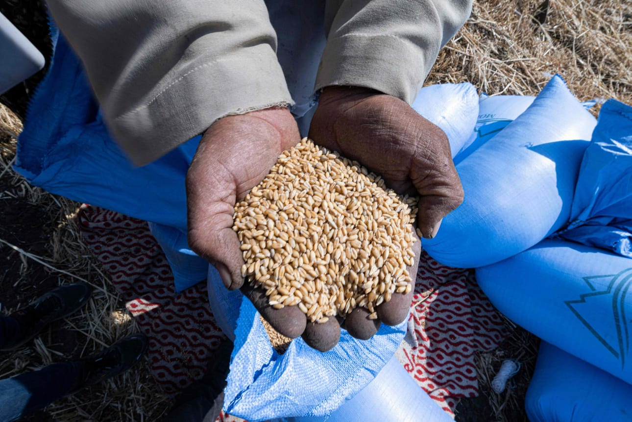 Ukrainan kriisi uhkaa syöstä kymmeniä miljoonia ihmisiä nälänhätään.