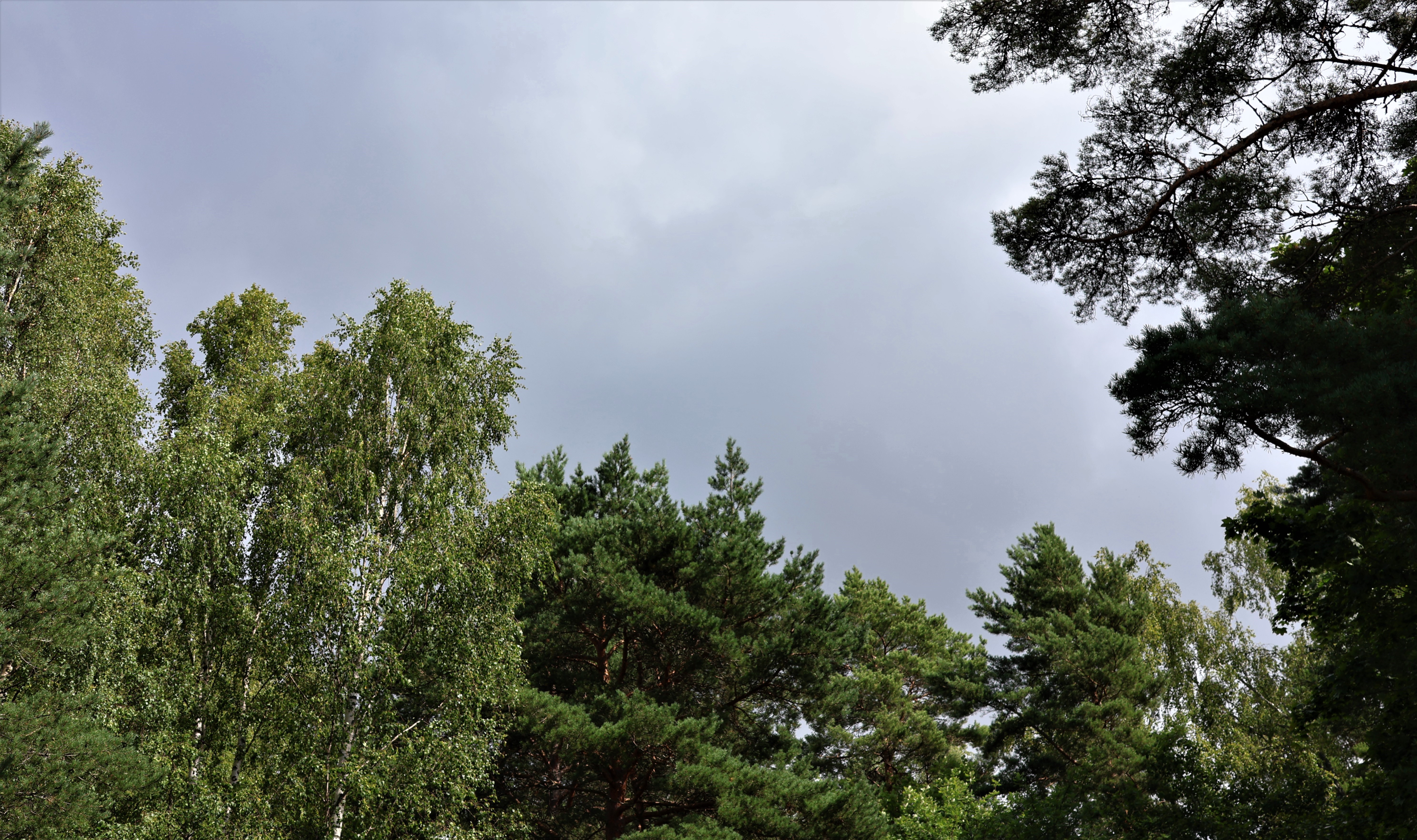 Voimakkaiden rajuilmojen todennäköisyys kasvaa viikonvaihteessa