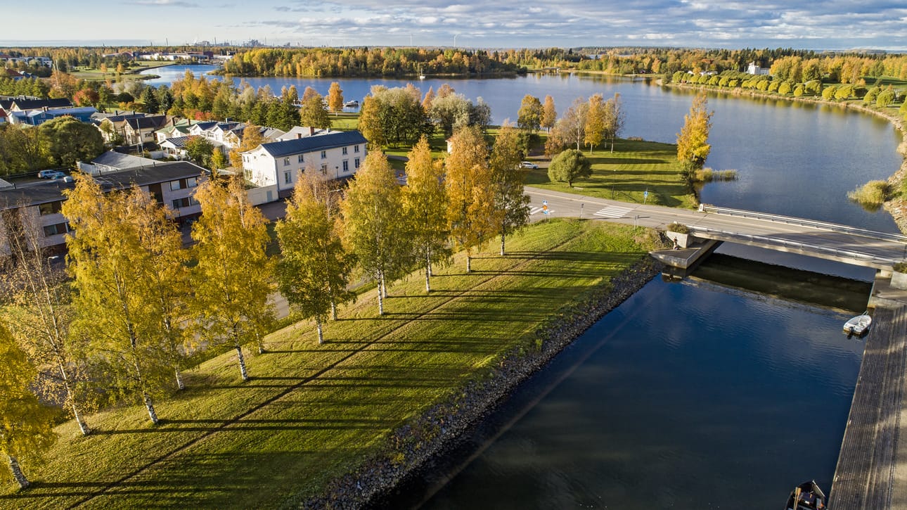 Raahe näyttää nyt linnun silmin tältä. Merenrantaa ja saaristoa kehystävät kullankeltaisina hohtavat puut.
