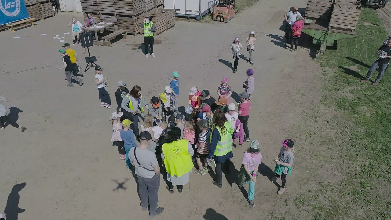 Katso video Pattijoen toukosiunauksesta, kun lapset kirmasivat kilpaa kylvämään viljaa