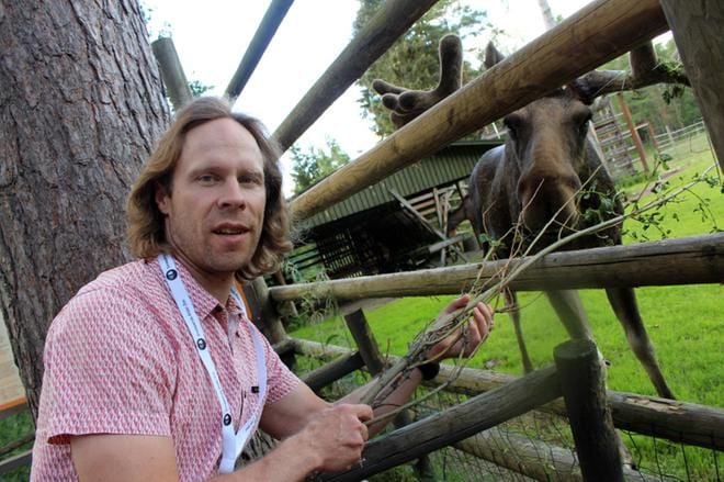 Ähtärin eläinpuiston intendentti Marko Haapakoski kertoo hirvien loikoilevan mielellään helteellä suon reunalla. Iloa kiinnostavat kuitenkin kerputkin. KUVAT: MINNA HIIRONEN