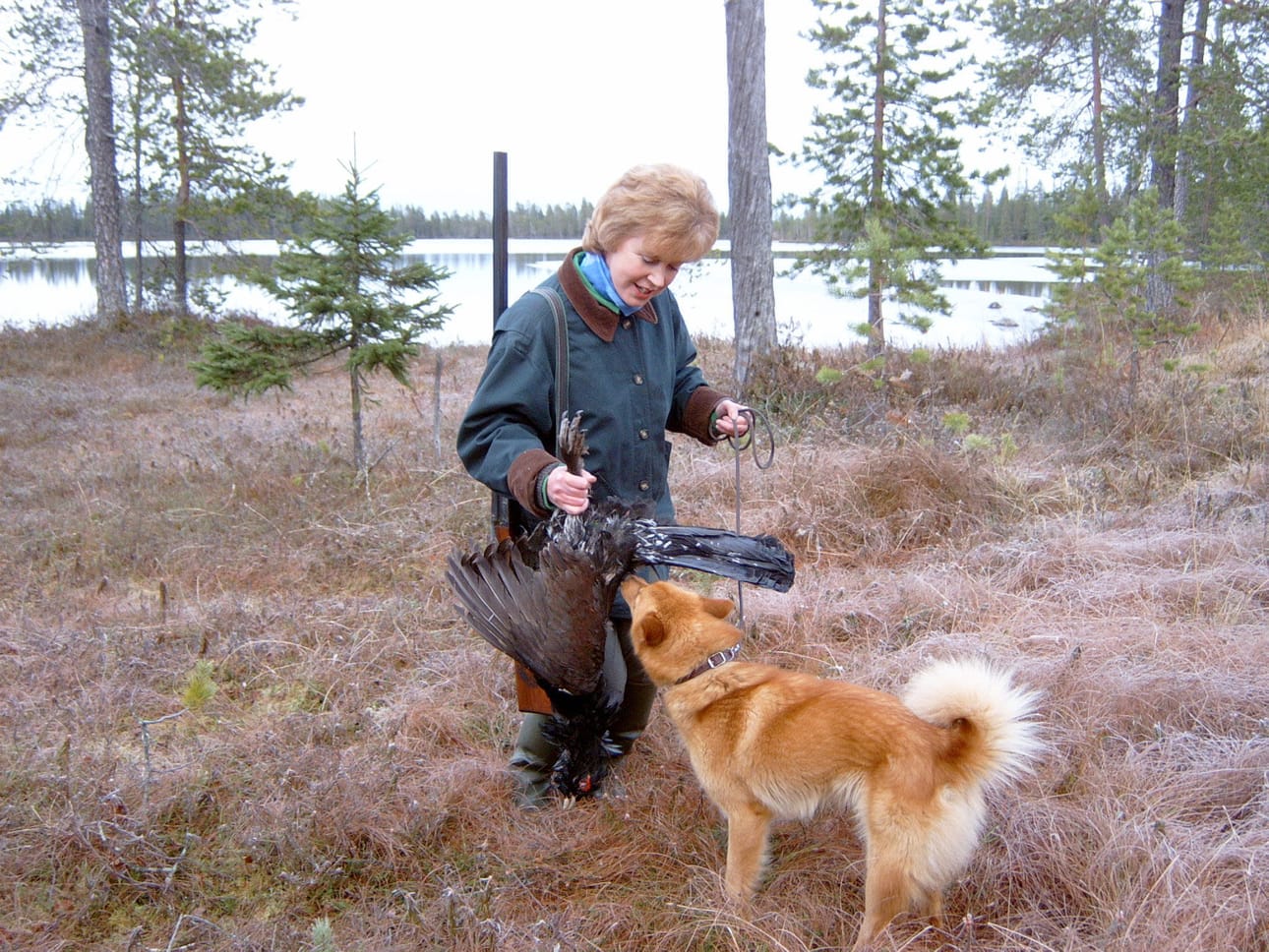 Koillismaan kanalintukannat ovat vahvistuneet sikäli hyvin, että tänä syksynä jahtireissuille voi taas lähteä parin heikon vuoden jälkeen.