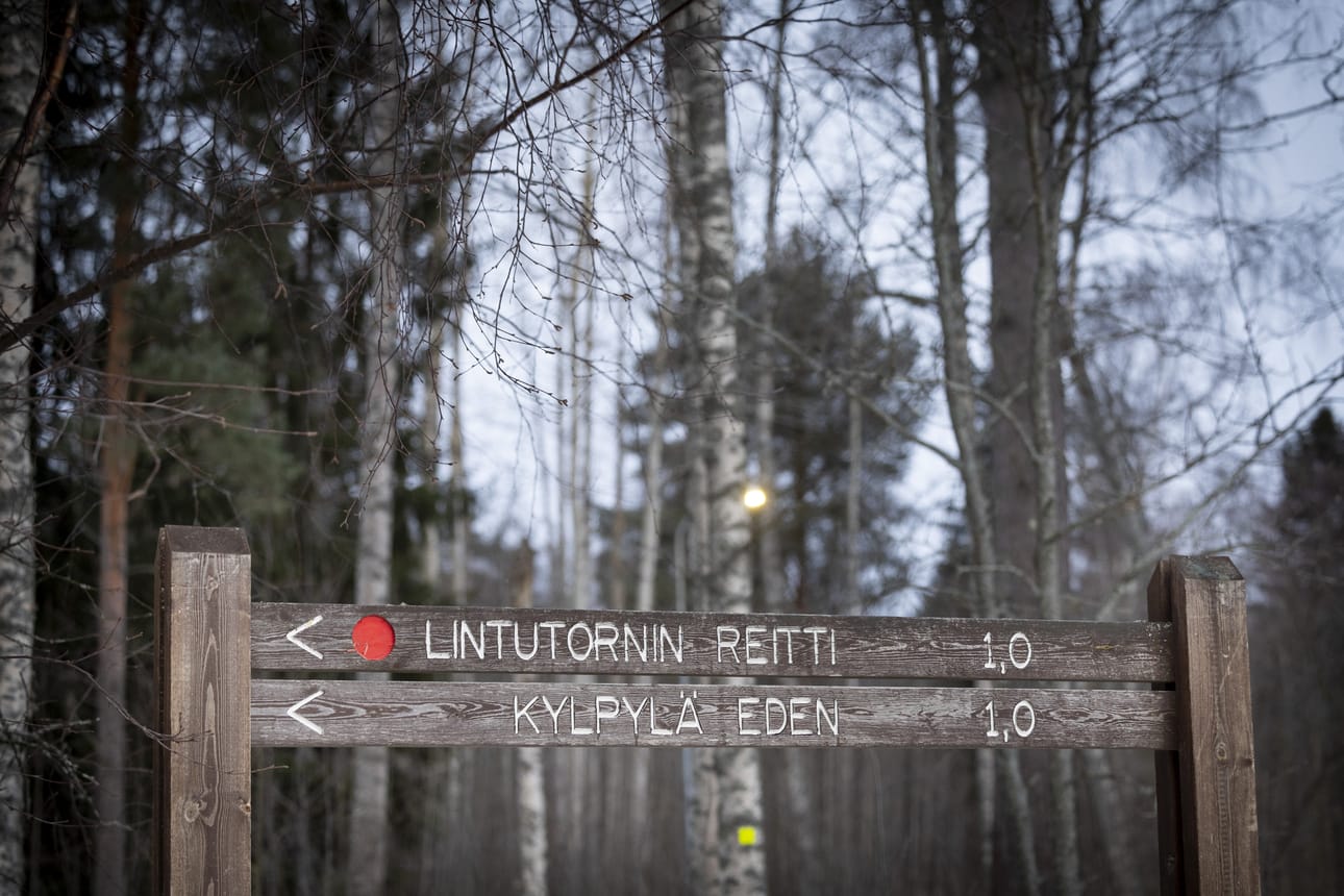 Oulun Hietasaaren luonnontilaisten metsien ja maankohoamisrannan suojelemiseksi on tehty kuntalaisaloite. Suojelu ei toteutuessaan muuttaisi alueen metsien nykyistä käyttöä, vaan metsät säilyisivät asukkaiden virkistyskäytössä.