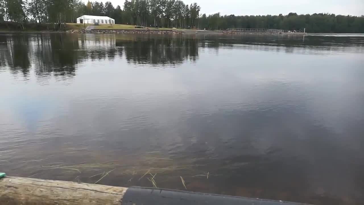Lohen komea hyppy Kuusisaaressa