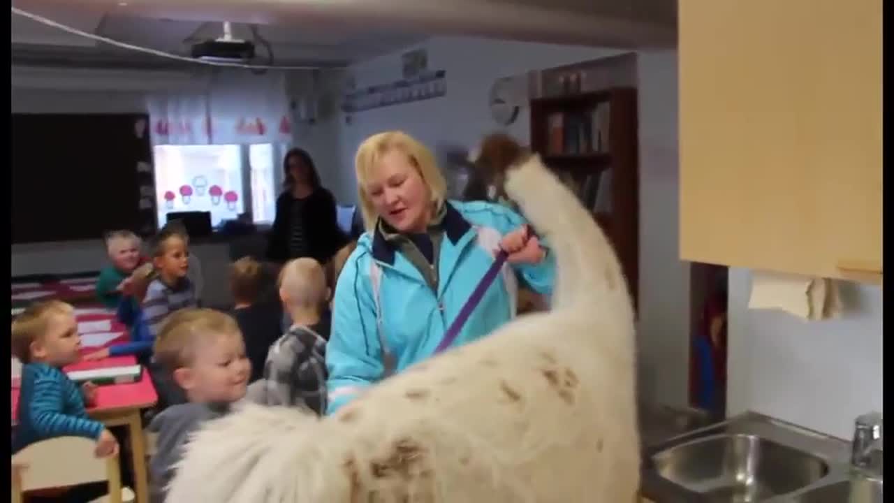 Karvainen yllätysvieras