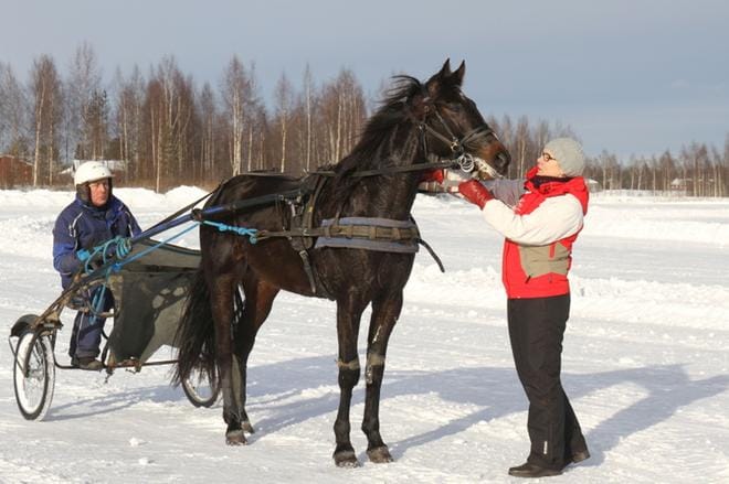 Nelivuotias ruuna Eternell Hope tekee tuttavuutta Kortesjärven jäärataan ja saa paijaukset Hanna Autiolta. Kärryillä Esko Nevamäki. KUVA: JUSSI LÄHDE