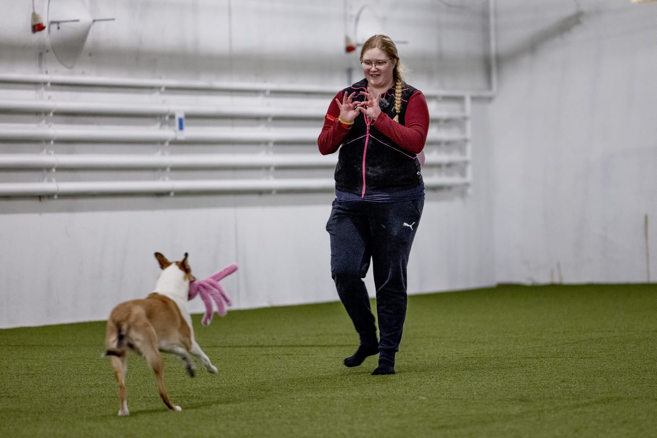 Ingrid-collie on ansainnut palkkansa hyvästä tottelemisesta ja saa emännältään Elina Voutilaiselta luvan leikkihetkeen. Puhutun kielen sijaan Voutilainen käskyttää koiraansa käsimerkein.