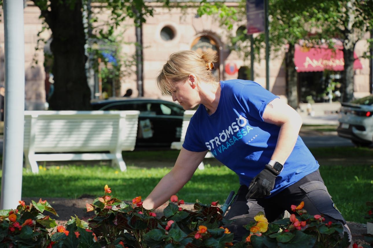 Niina Kuusela kertoo, että kukkia istuttaessa on seurattava suunniteltua kuviota ja saatava oikea määrä kukkia jokaiseen penkkiin.