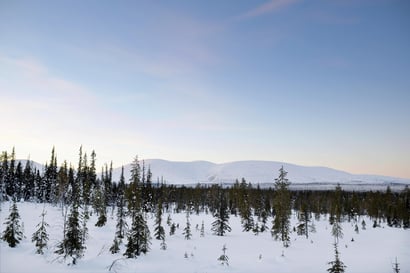 Lumivyöryjen riski on Lapin tunturialueilla nyt huomattava – luonnonvaraisilla tuntureilla on havaittu jo 26 laattalumivyöryä