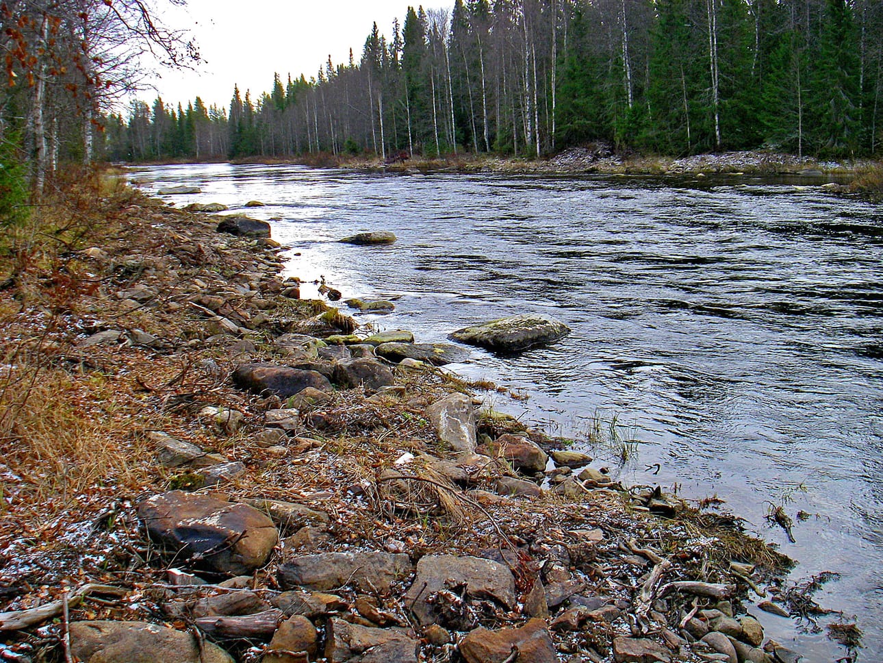 Iijoen yläjuoksun kunnostettua Niskakoskea, jonka rannoilta on raivattu pajukkoa, loivennettu ranta-aluetta ja lisätty kivenhuopeita. Siellä missä ennen oli ryteikköä ja kivikkoa huilaa nyt jokivesi laajoilla alueilla.