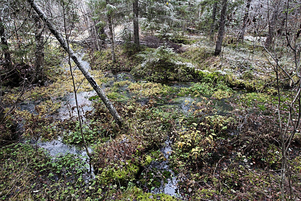 Kiistely Viinivaaran vesistä jatkui maanantaina kaupunginhallituksessa.