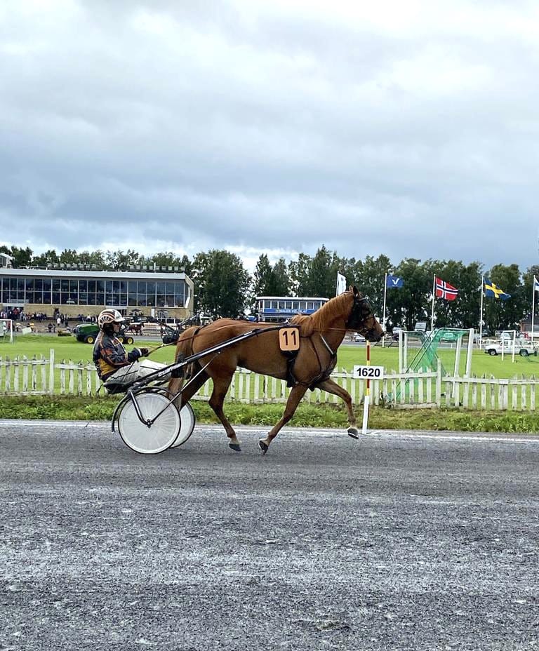 Lumi-Oosa oli mukana hiljattain Vermon kilpailussa.