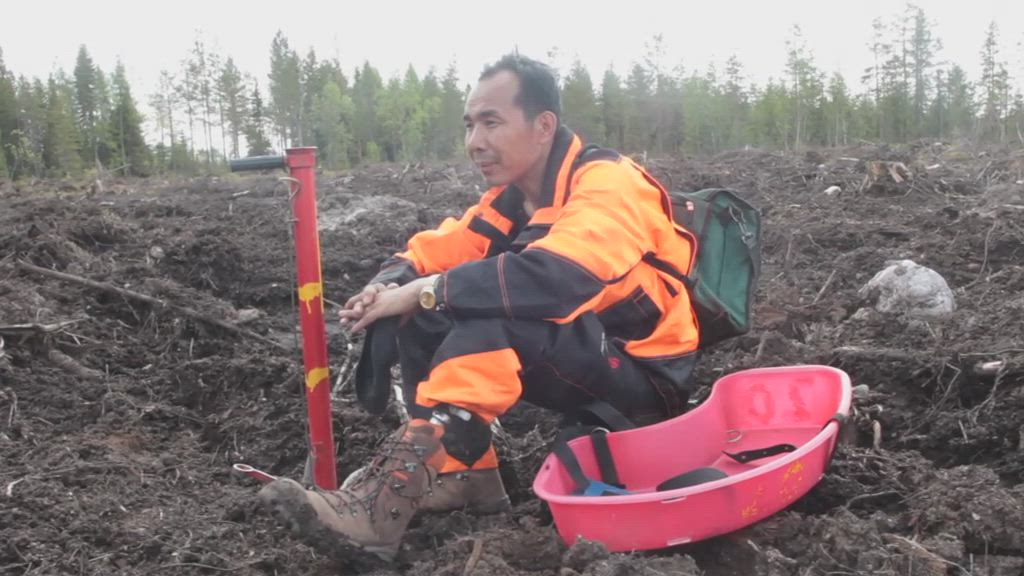 Maahanmuuttajien metsurikoulutus