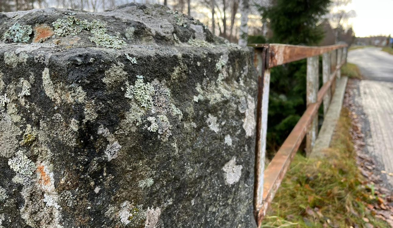 Vanha kivipaasi kasvaa jäkälää, mutta missä?