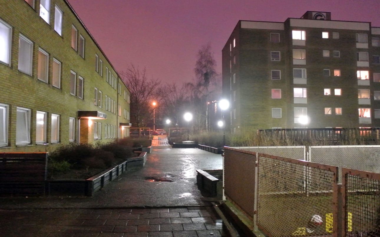 Malmön Rosengårdin lähiö on yksi Ruotsin erityisen haavoittuvista alueista. Monet rikoksia tekevistä alaikäisistä tulevat näiltä alueilta.