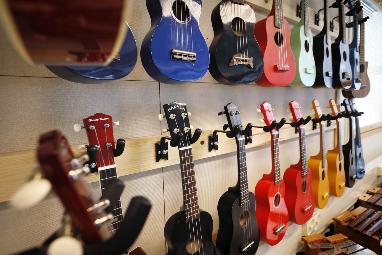 Ukulele, musiikki, soitin