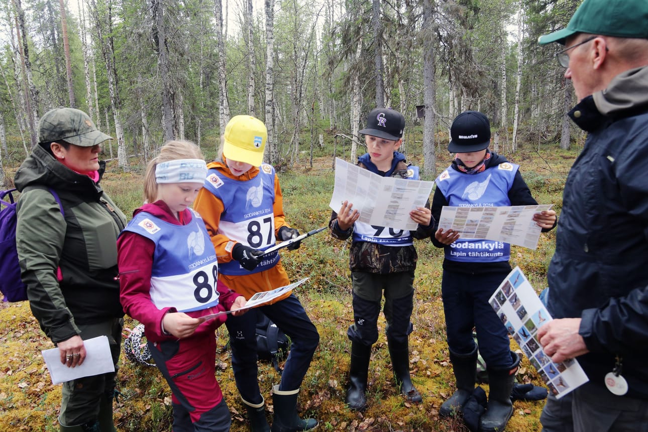 5A-luokan oppilaat Alma Aikio, Inga-Maria Yli-Tepsa, Joonas Junttila ja Ante Autio tutkivat lintujen kuvia. Tehtävänä on tunnistaa lajeja. Opettaja Auli Näsi (vas.) seuraa taustalla. Sodankylän riistanhoitoyhdistyksen Viljo Pesonen (oik.) antaa ohjeita.