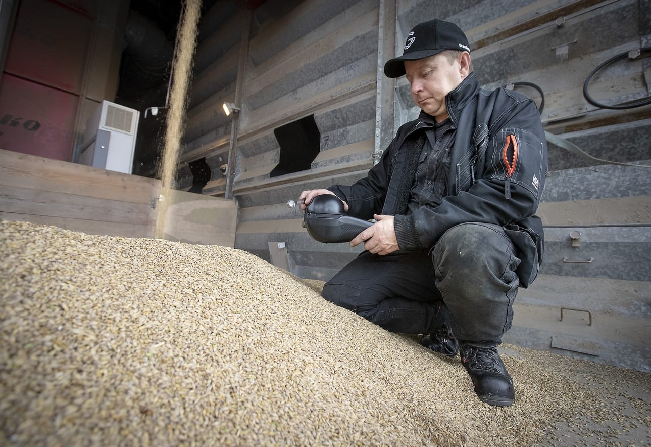 Maanviljelijä Ilkka Matinolli mittaa ohraa GrainSense-laitteella.