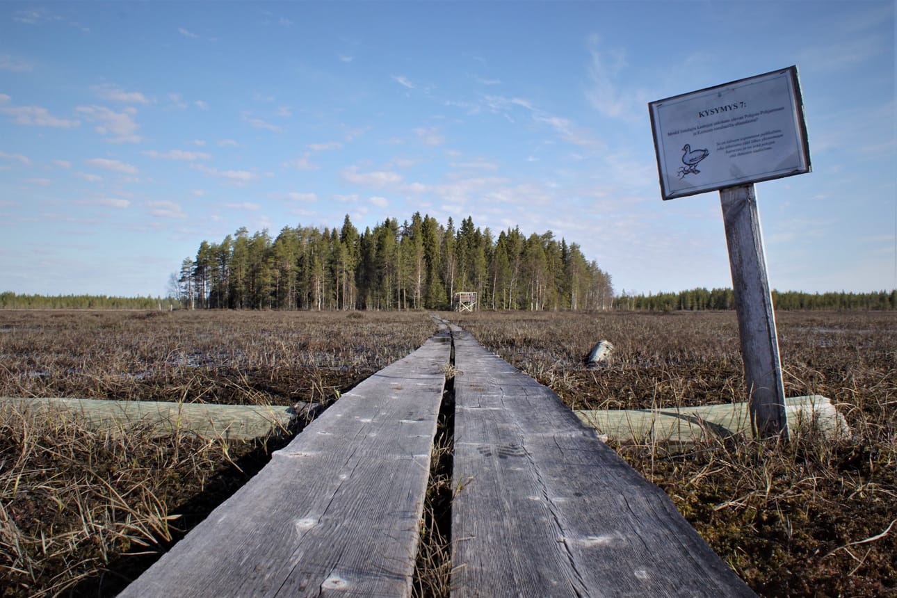 Kilometrinen pitkostus vie Kirsiojantieltä Vitikkosaareen.
