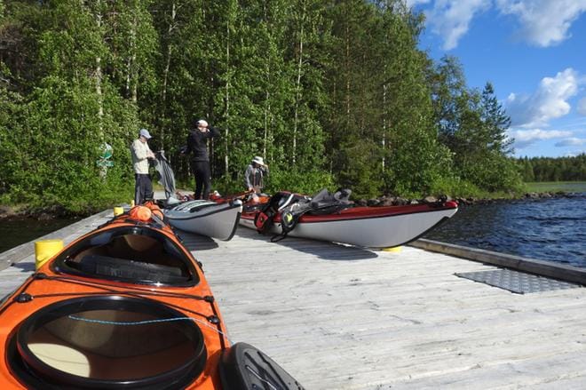 Melojia tauolla Oulujärven retkeilyalueella Honkisen saaressa. KUVA: Petri Hakkarainen
