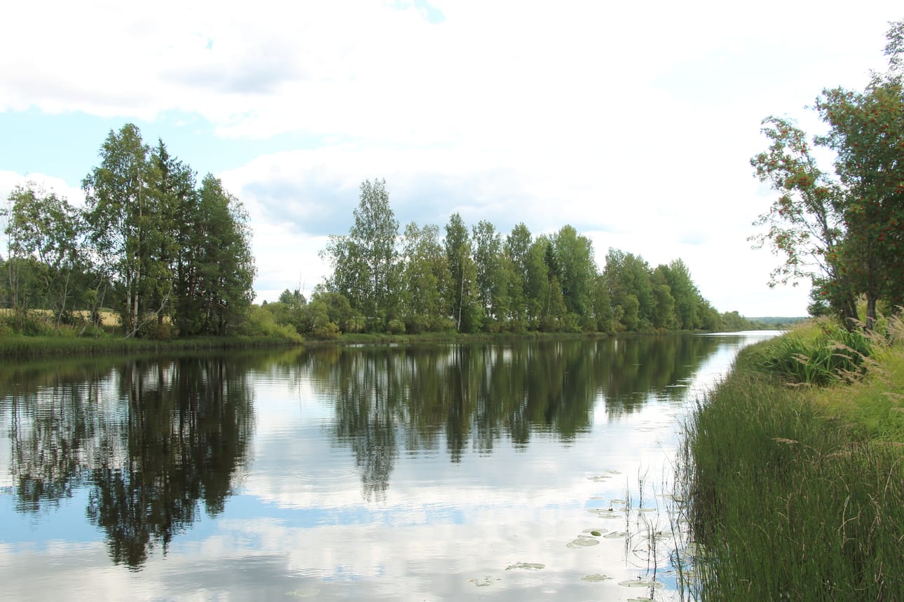 Yllätys löytyi kilometri yläjuoksun suuntaan Mäenpään mökkirannasta.
