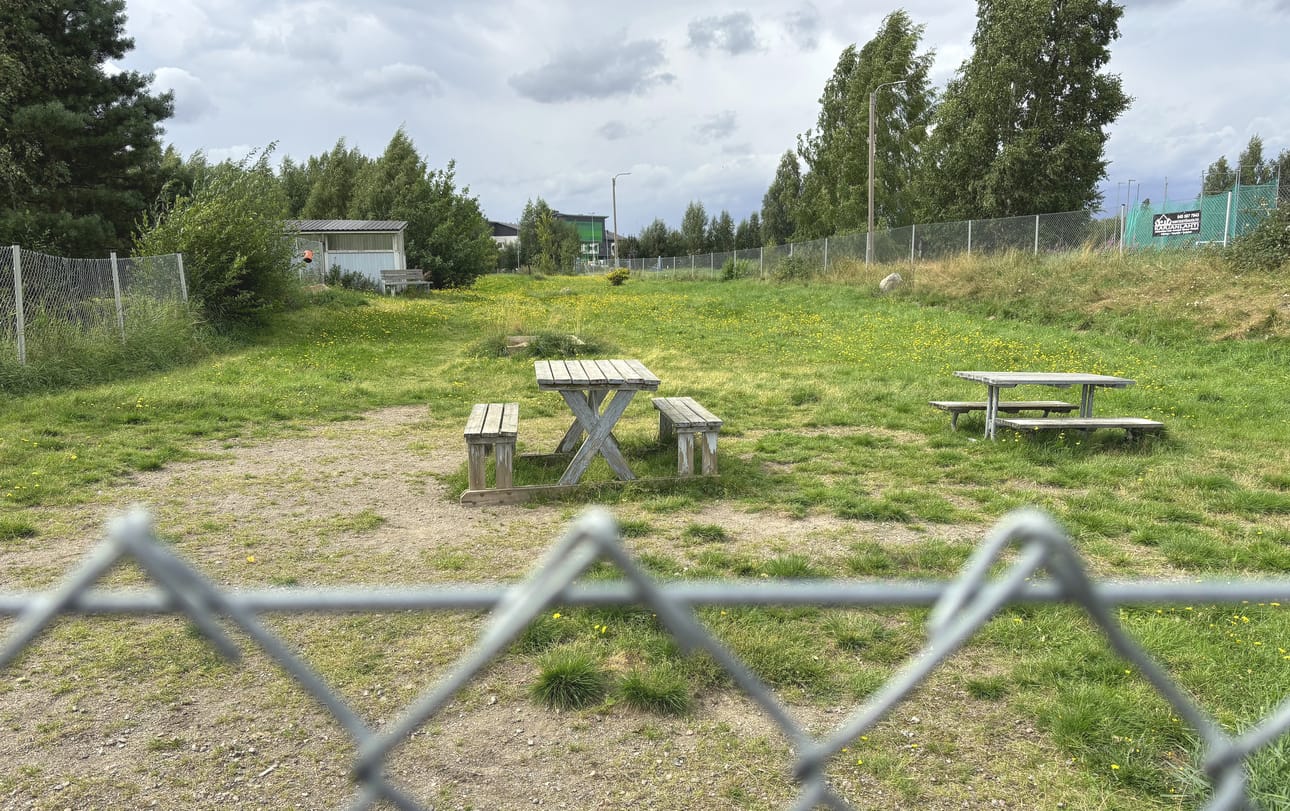 Kaupunginpuutarhuri Sari Isoniemi oli suunnitellut koirapuiston pohjaksi edelleen nurmikkoa mutta sen lisäksi turvehakkeen ja hiekan tai soran seosta.