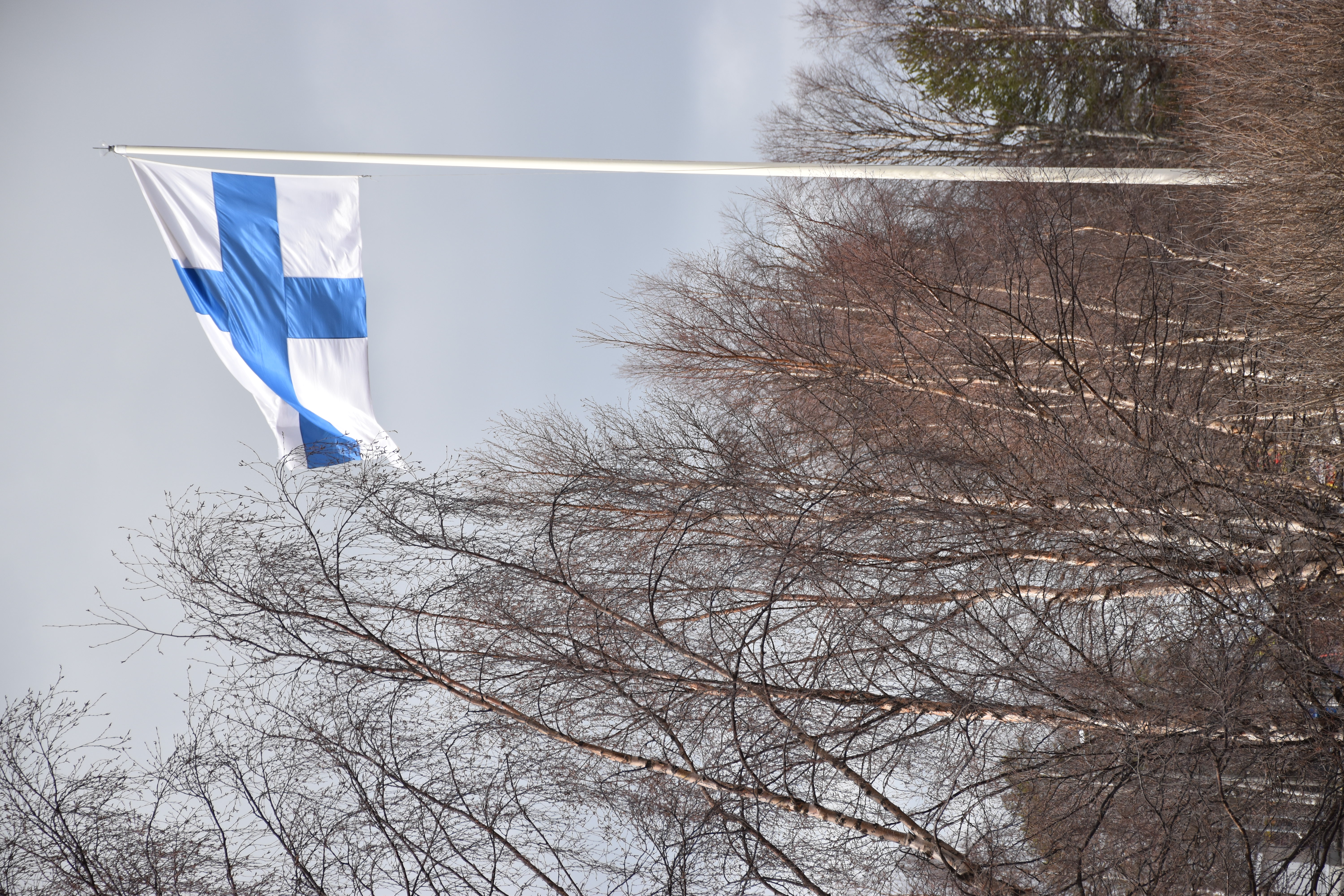  Suomen liput liehuivat tangoissa.