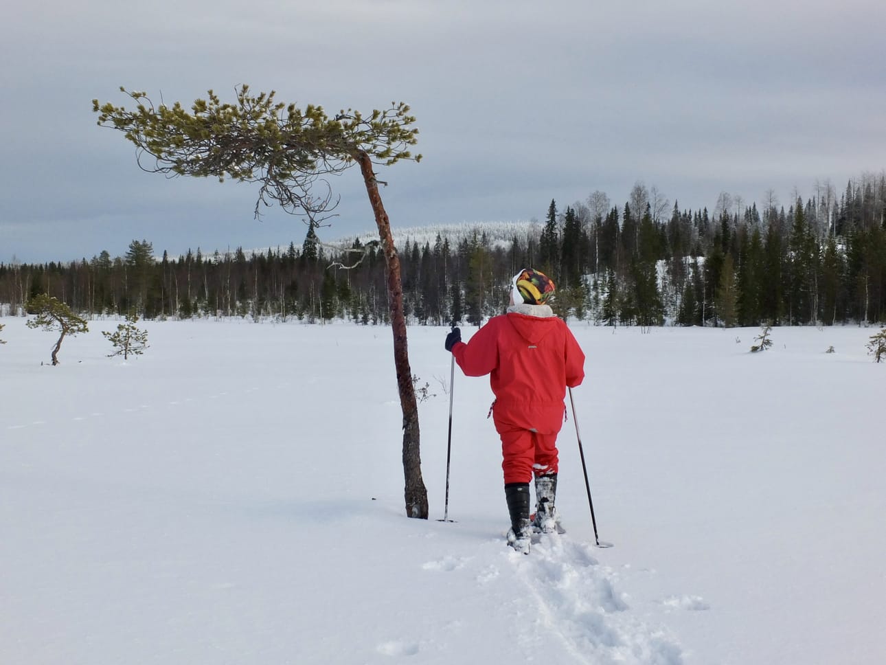 Lumikenkäilemässä Taivalkoskella mökkimaastossa.