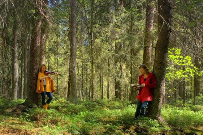 Yhdessä Viola Räisäsen kanssa Anni Kytömäki pitää musiikillis-sanataiteellisia metsäkonsertteja. KUVA: EMIL BOBYREV