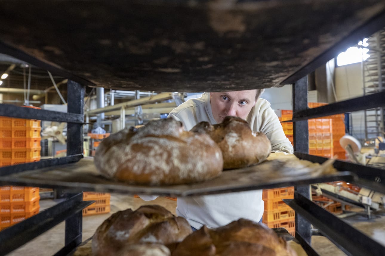Meriläisen leipomon toimitusjohtaja Juho Meriläinen kertoo, että leivän raaka-aineita on riittänyt, vaikka hinnat ovatkin kallistuneet.