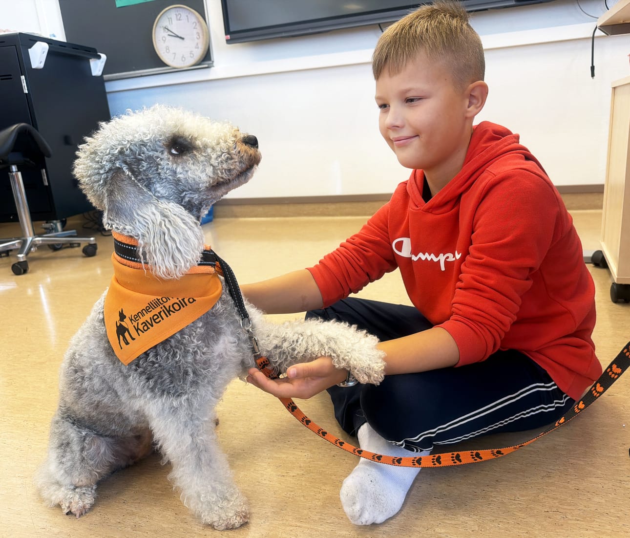 Vertti Katajamäellä ei ole vielä koiraa, mutta isällä on musta labradorinnoutaja ja isoäidille saapuu samanrotuinen pentu muutaman viikon kuluttua. Poika saa hoitaa myös naapurien kahta mäyräkoiraa.