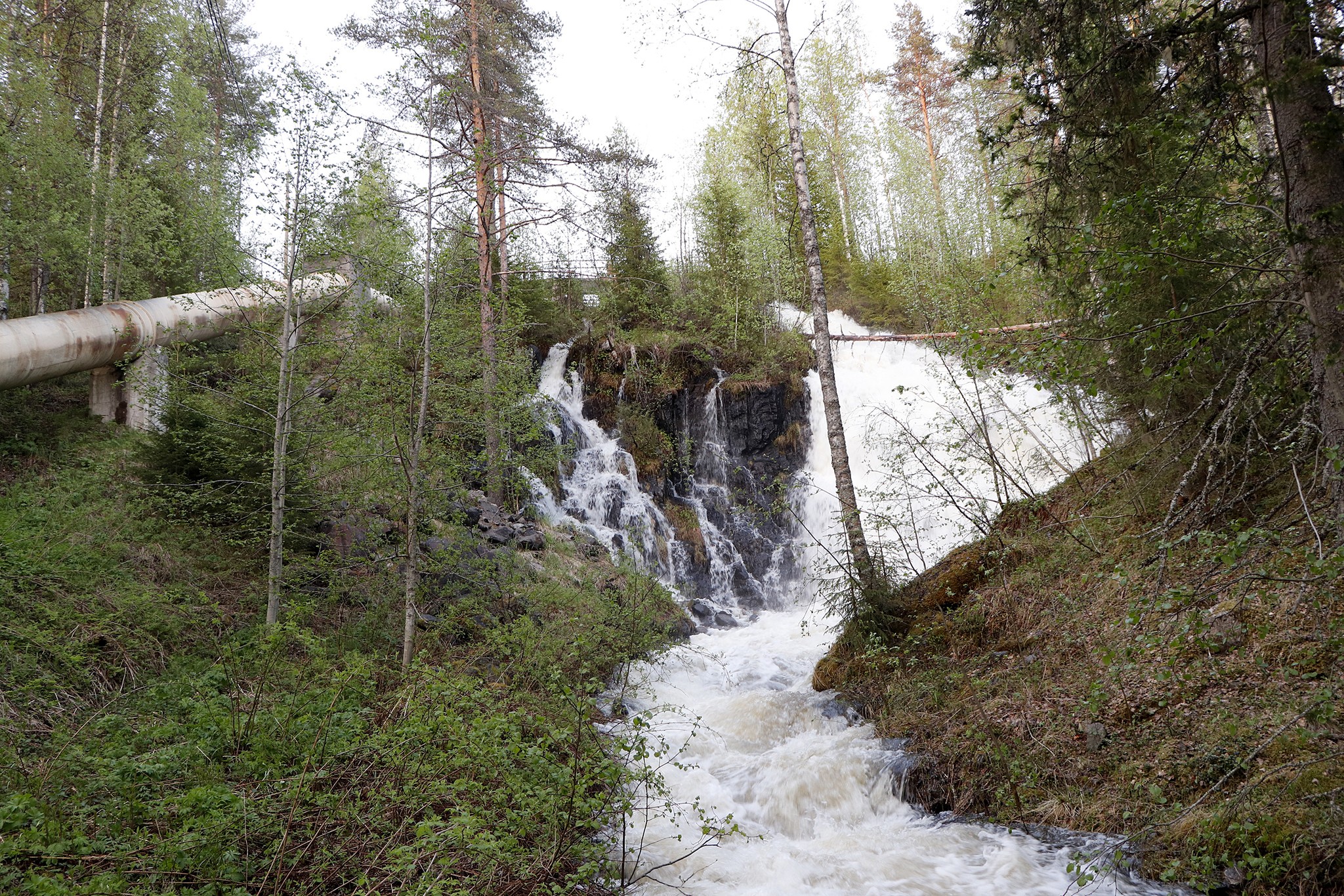 Pintamon Pirunköngäs kuohui vuonna 2019 ohijuoksutusten vuoksi. Normaalisti vesi menee vieressä näkyvää putkea pitkin voimalaitokseen.