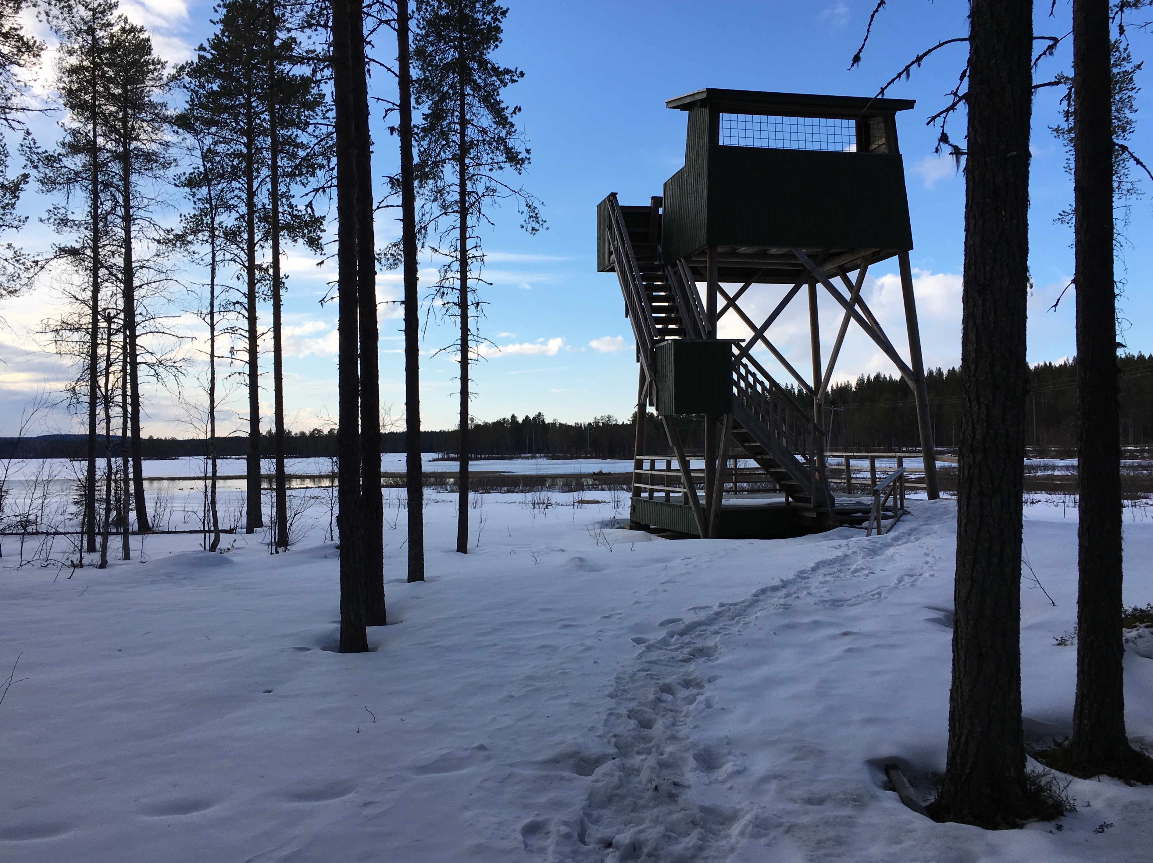 Posion ensimmäinen lintutorni valmistui syksyllä 2010 Nilojokisuulle Rovaniementien varteen.