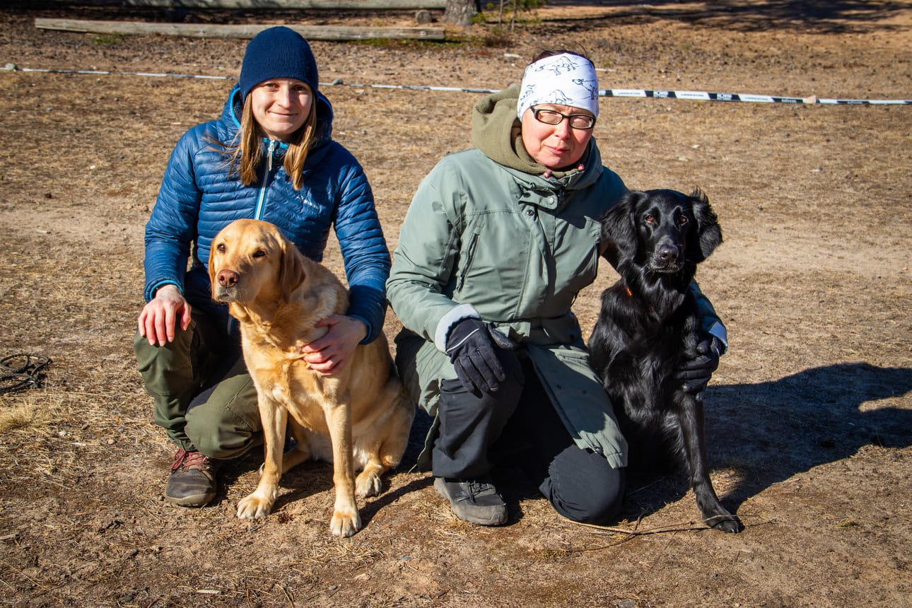 Noutajakoirayhdistyksen toko-toimikuntaan kuuluvat Oona Mönttinen ja Pipa Pärssinen. Mönttisen koira on labradorinnoutaja Isla, Pärssisen Pulu on taas sileäkarvainen noutaja.