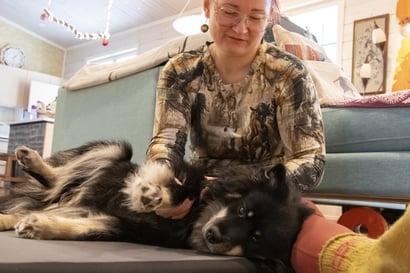 Katso video: Liminkalaisen Hanneliisan työura on murroksessa – sairaanhoitajan työ vaihtuu koirahierontaa tarjoavaksi pienyritykseksi
