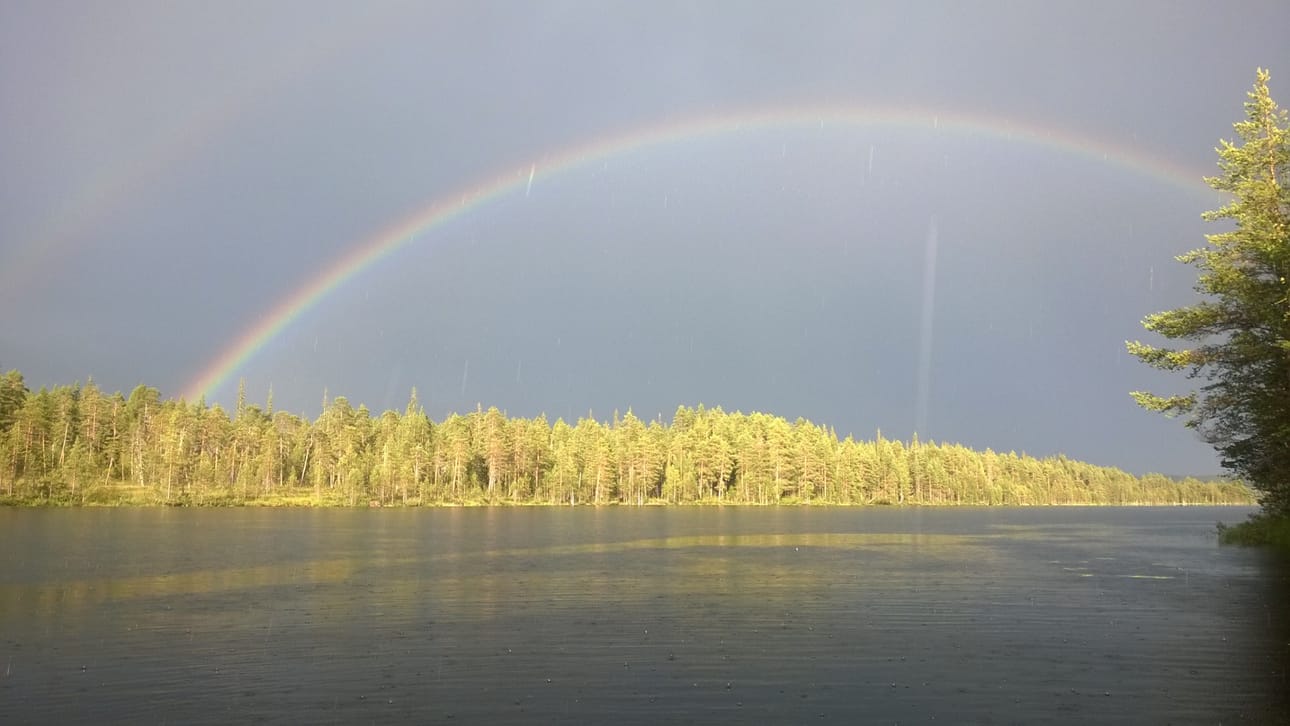 Aurinko paistoi ja vettä satoi keskiviikkoiltana 3.8. kun oltiin laskemassa verkkoja Keskilampiin.