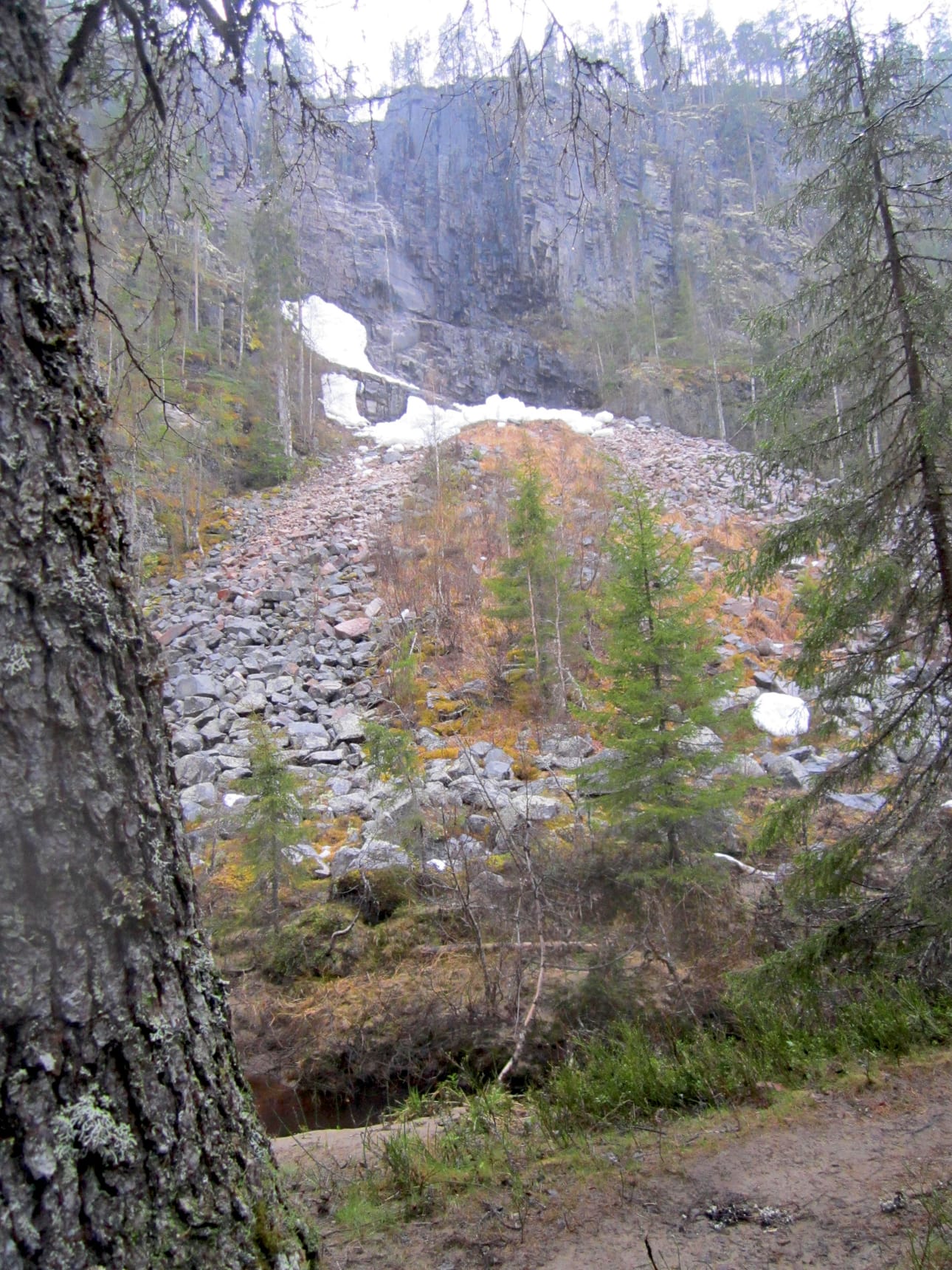 Korouoman kallioseinämiltä alas virtaavat purot jäätyvät talvella paannejäätiköiksi.