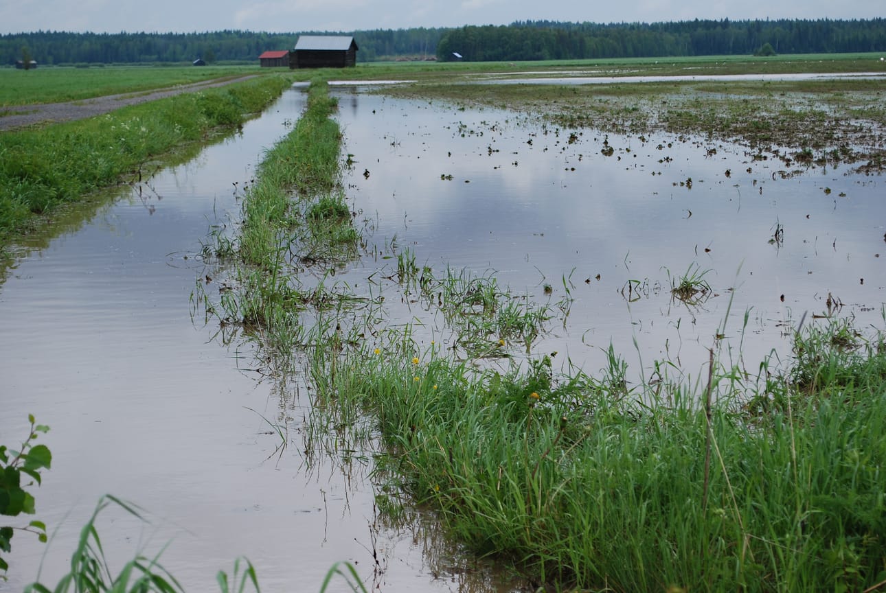 Matkaniva-Perikankaan alueen rankat sateet näkyivät ojissa ja pelloilla. Kuva Matkanivantien varresta.